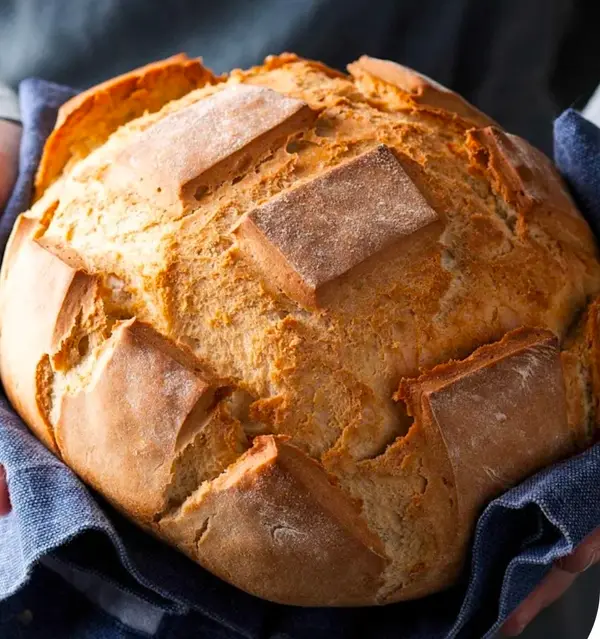 Pan rápido